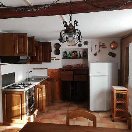 Homecistella