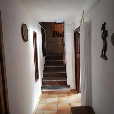 Homecistella * باشينو